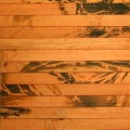 бамбук в дверях шкафа-купе