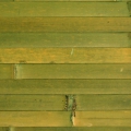 бамбук в дверях шкафа-купе